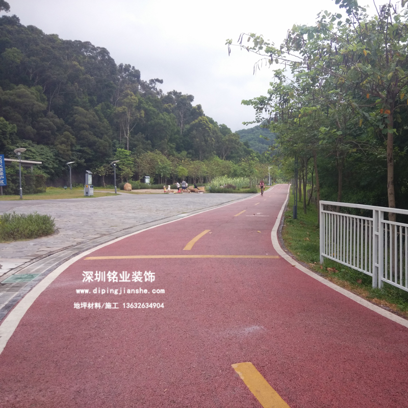 深圳翠湖公园透水混凝土案例