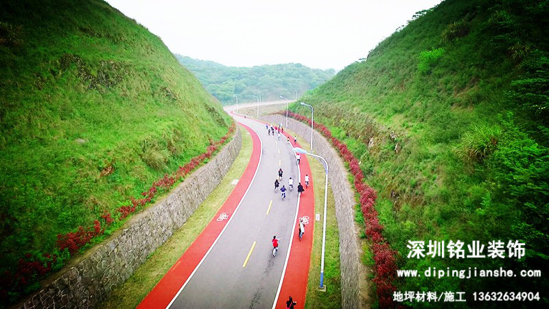 花开最美路∣岱山彩色公路黄燕线 串起醉美“蓬莱”景观