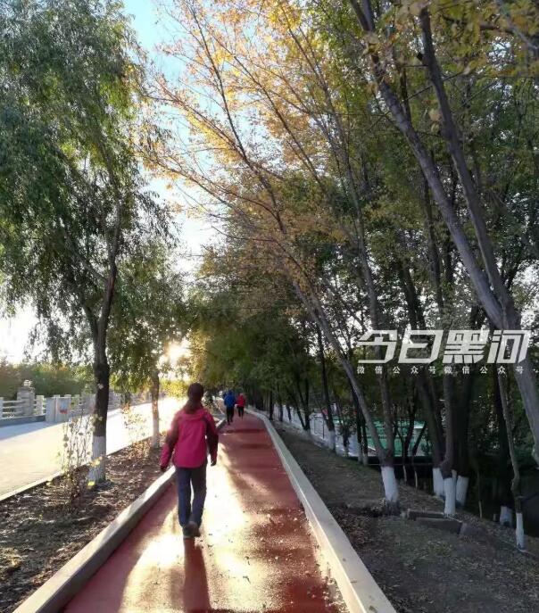QQ截图20181010151107