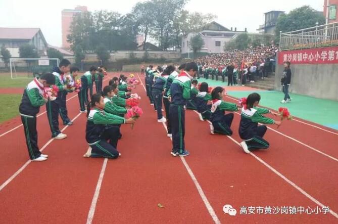 QQ截图20181129164612