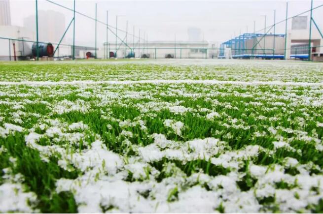 冬天人造草坪去除冰雪维护保养技巧