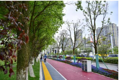 让城市更亲人！且看南昌高新区绿道施展“连城诀”