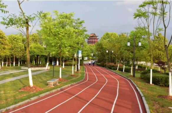 宜春健康步道改造完工，高颜值的新去处！